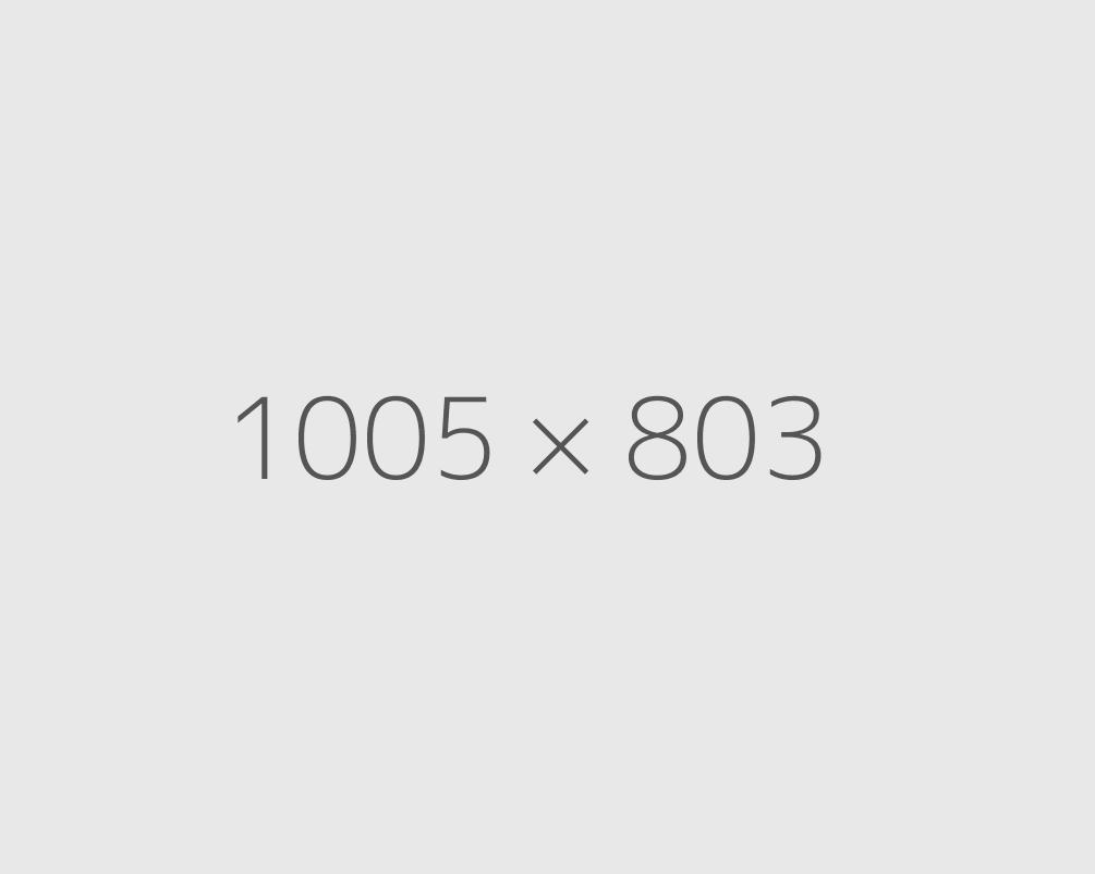 The standard Lorem Ipsum passage used since the 1500s The standard Lorem Ipsum passage used since the 1500s